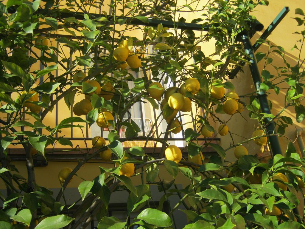 Ferienhaus Holiday Il Borgo Degli Agrumi
