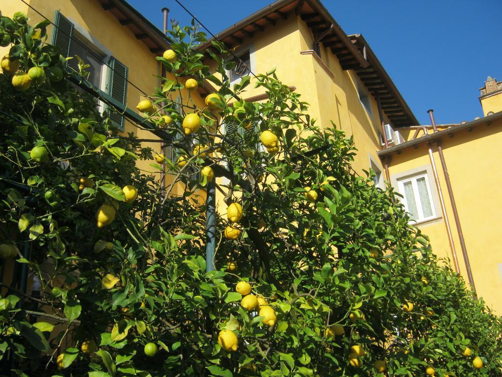 Ferienhaus Holiday Il Borgo Degli Agrumi